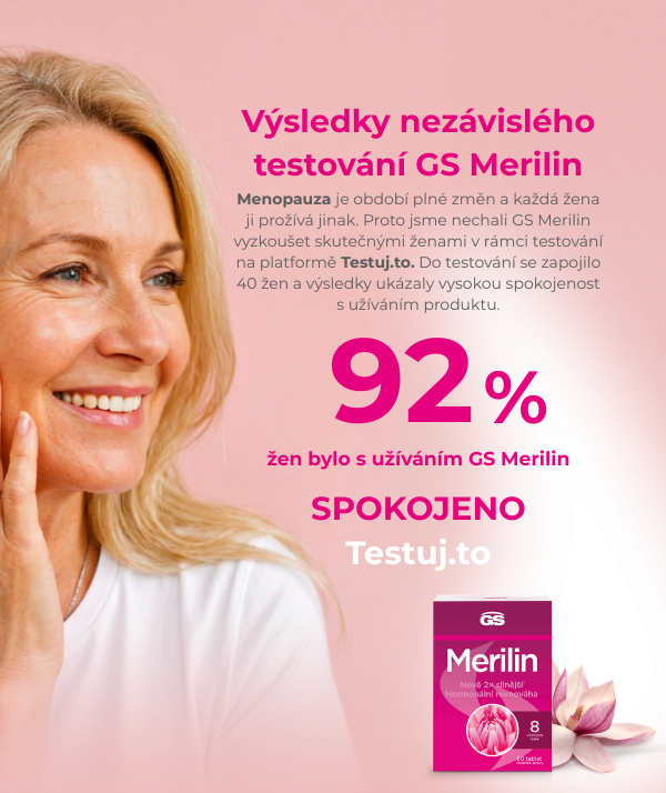 MER - dotazník (mobil)