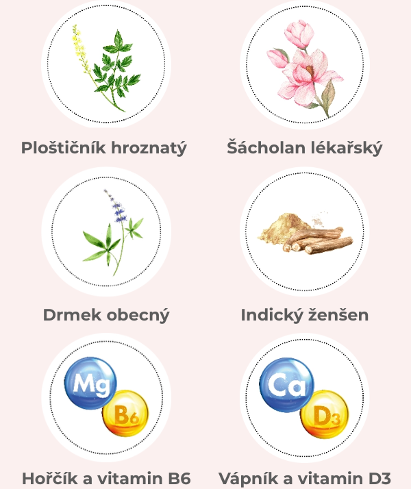 Složení-upraveno